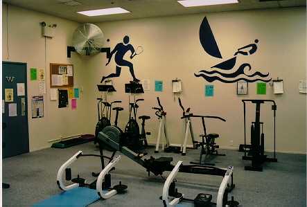 Ab Rollers, Bikes, Rowing, Treadmill and Stairmasters