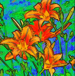 Watercolour Lilies by Cheryl Lynne Bradley
