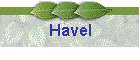 Havel