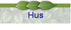 Hus