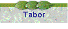 Tabor