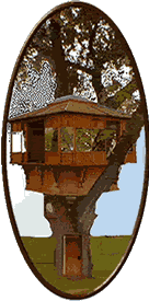 treehouse graphic