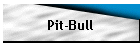 Pit-Bull