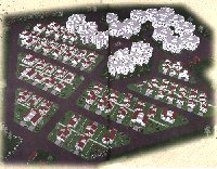 TOWNSHIP LAYOUT