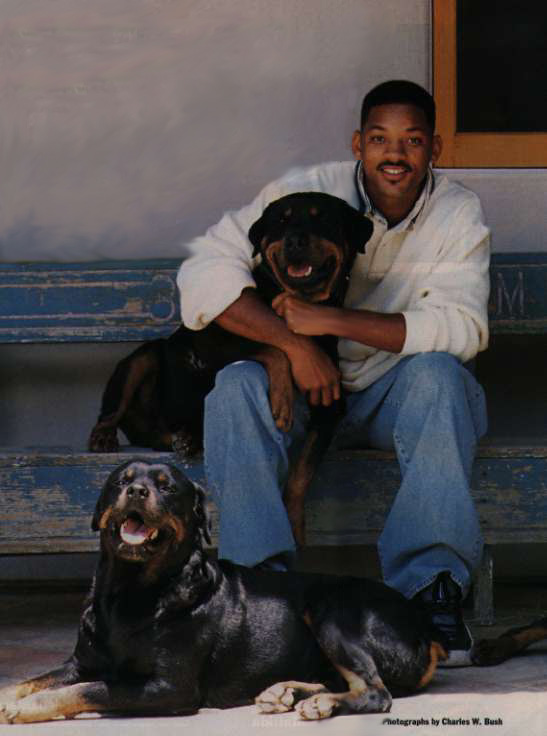 Will Smith