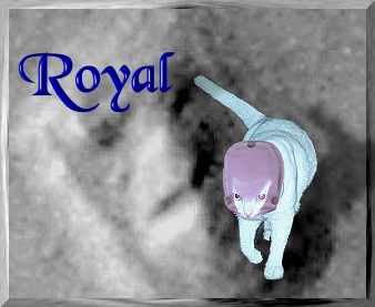 royal2.jpg