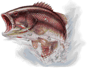 bass 6588 bytes
