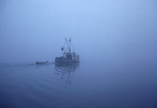 Fishing Boat, Into the Fog