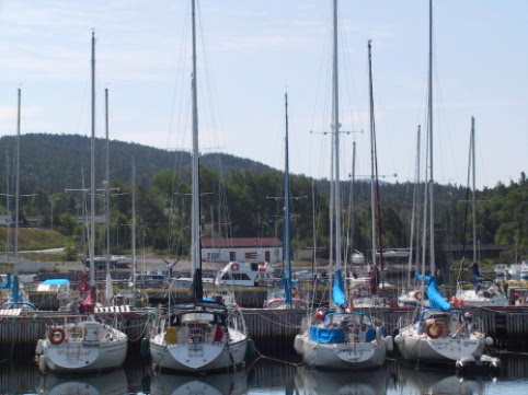 Holyrood Marina is home to the Terra Nova Yacht Club