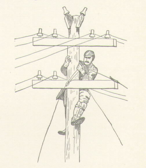 telegraph wires