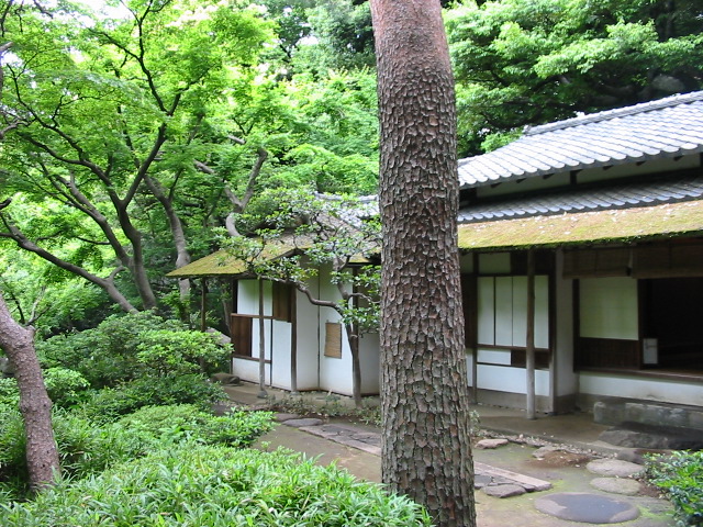 Japanese Tea House