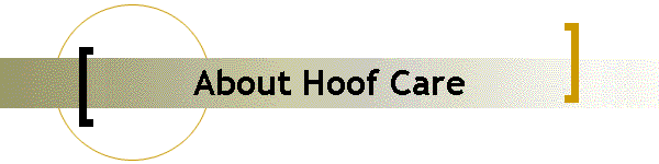 About Hoof Care