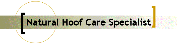 Natural Hoof Care Specialist