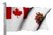 Canada Flag & Ontario Site