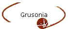 Grusonia
