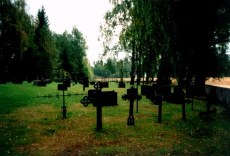 Romnes Kirke - deler av kirkegrden p sydsidenChurchyard at Romnes from the north.