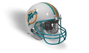 The Miami Dolphins Old Helmet 