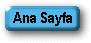 anasayfa.GIF (2231 bytes)