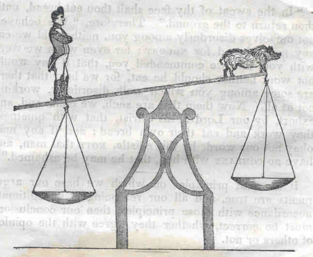 Scale, Man - Pig, Balancing