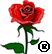 rose.gif (2410 bytes)