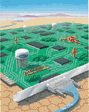 watercad-tinney.gif (5931 bytes)