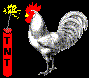 chicken.gif (16734 bytes)