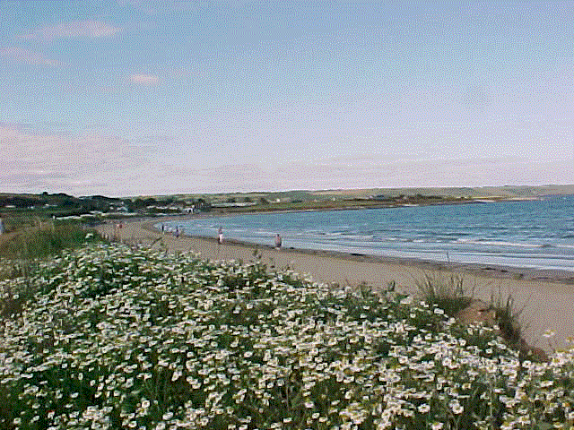 curragh_beach.gif (124866 bytes)
