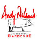 Andy Nelson Logo