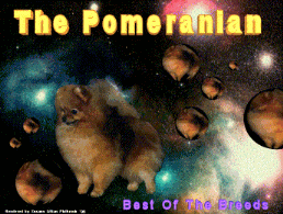 The Pomerama