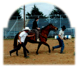 Mike and terry helping out a cowgirl in a fast run