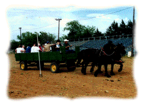 Wagon Team races, volunteer driver and his wagon