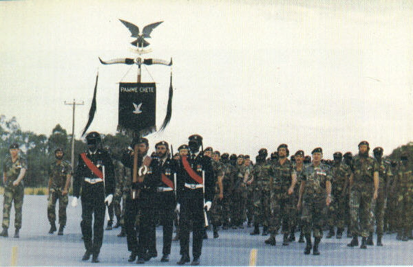 The Regiment on parade, 17Feb1979.