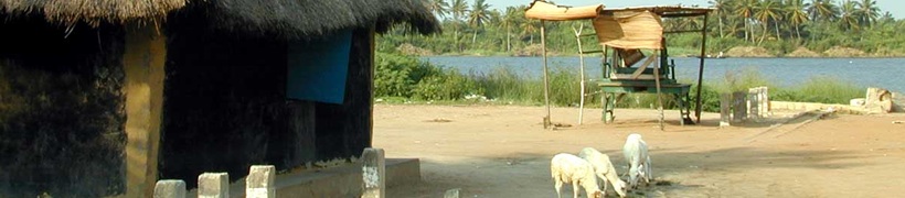 Slide Show Image