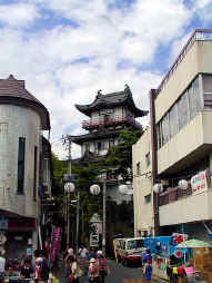 downtown matsushima.JPG (75070 bytes)