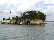 island in the bay.JPG (78314 bytes)
