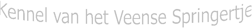 Kennel van het Veense Springertje