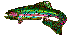 Seafood