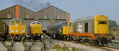 Diesel locomotives at the MRC