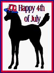 4th of July Independence Day Foal