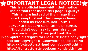 bandwidth theft notice 5