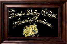 Thunder Valley Walkers Award Of Excellence
