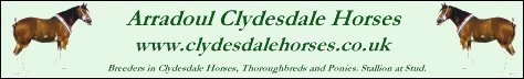 Arradoul Clydesdale Horses, Scotland