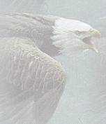 Eagle background