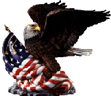 American Bald Eagle & Flag