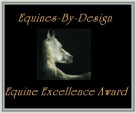 Equines-By-Designs ~ Equine Excellence Award