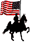 USA flag & horse