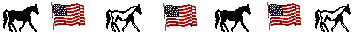 USA flag foxtrotter line