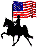 USA flag & gaited horse