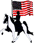 US American flag & spotted gaited horse