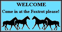 foxtrotting horse welcome sign